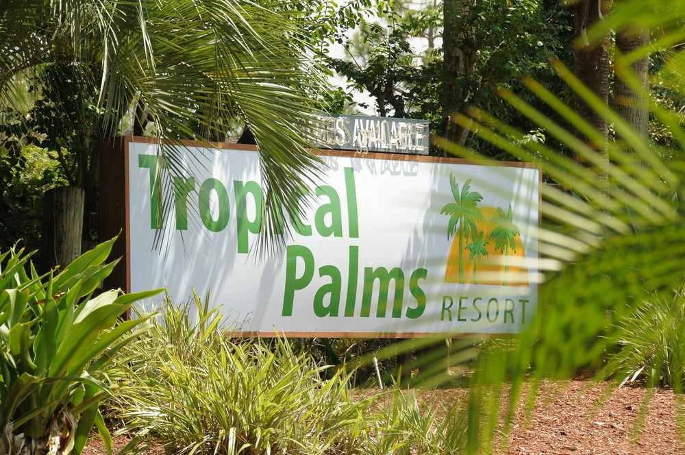 Tropical Palms Resort Celebration Exterior photo